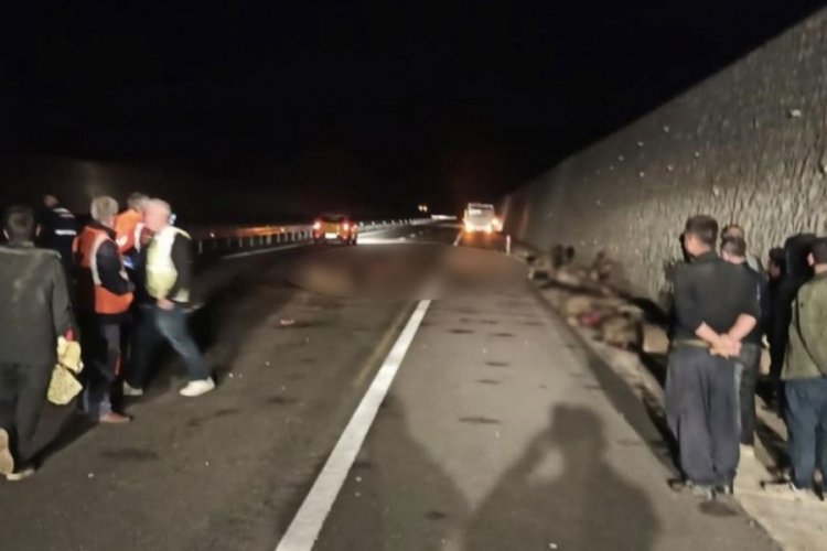 Batman'da tankerin &ccedil;arptığı onlarca koyun telef oldu
