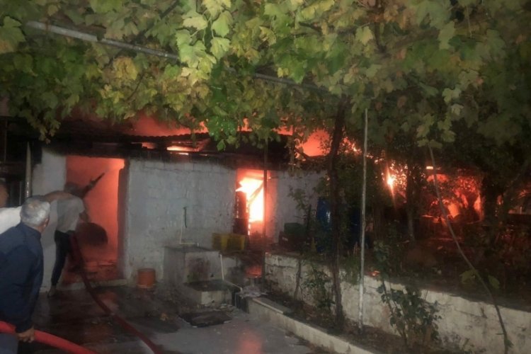 Muğla'da ahırda &ccedil;ıkan yangında 3 k&uuml;&ccedil;&uuml;kbaş hayvan telef oldu
