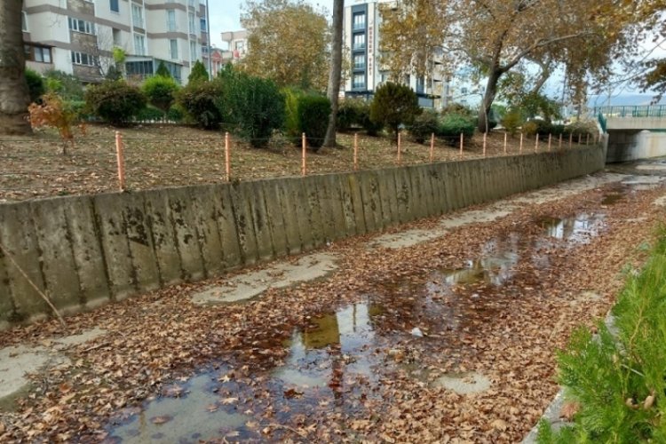 Bursa Orhangazi'de kuraklık dereleri vurdu!