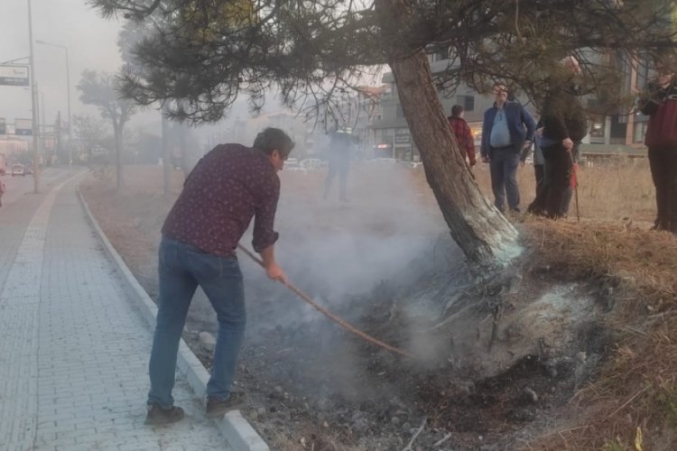 Bursa'da Sigara Izmariti Yangına Neden Oldu! - Bursa Haberleri - Bölge ...