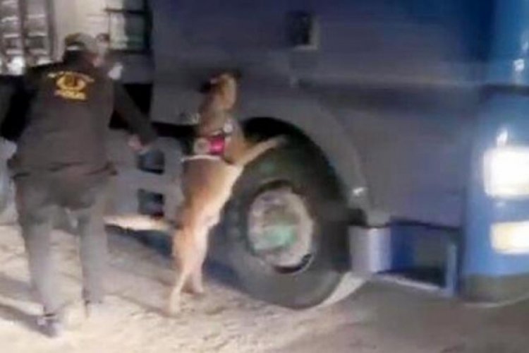 Gaziantep'de 30 kilo uyuşturucu ele ge&ccedil;irildi