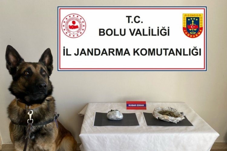 Bolu'da ka&ccedil;ak&ccedil;ılık ve uyuşturucu operasyonunda 5 g&ouml;zaltı