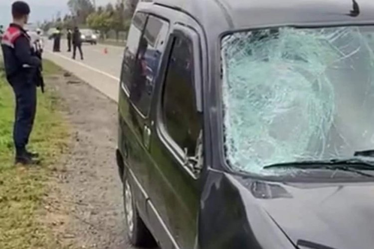 Ordu'da k&ouml;peklerden ka&ccedil;an adam hayatını kaybetti