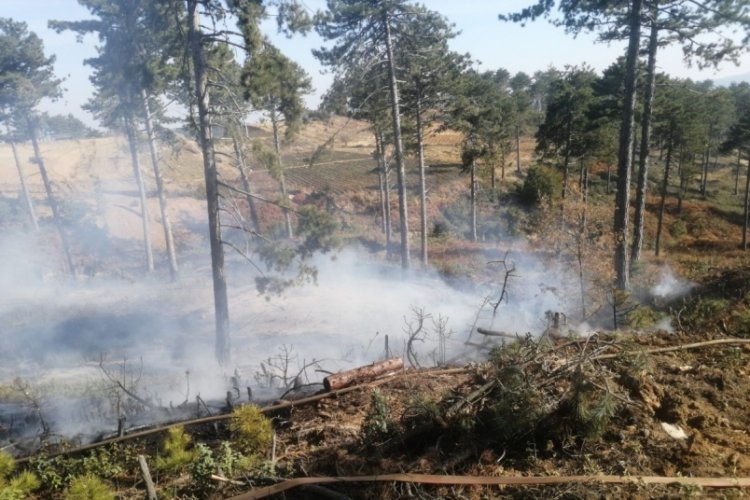 Denizli'de ormanlık alanda &ccedil;ıkan yangın b&uuml;y&uuml;meden s&ouml;nd&uuml;r&uuml;ld&uuml;