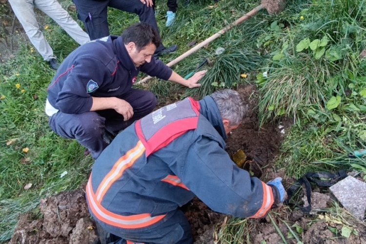 Ordu'da boruda mahsur kalan kedi kurtarıldı