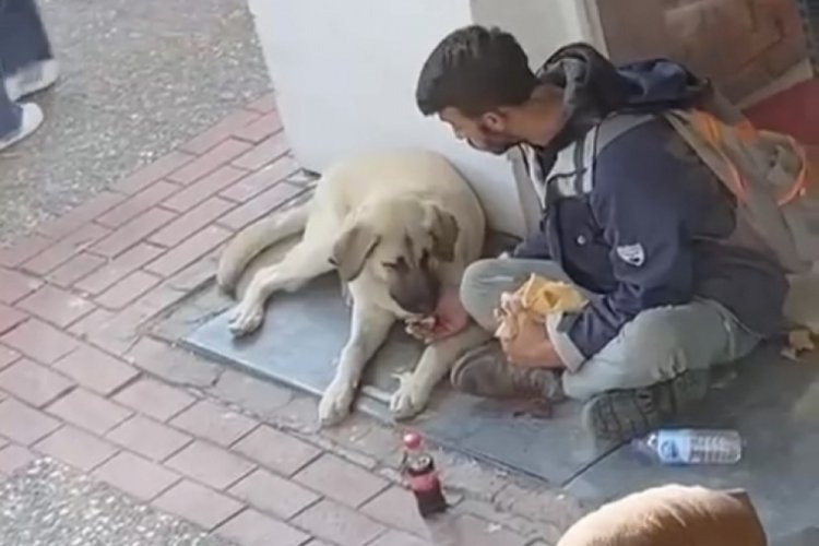 Bursa'da yemeğini sokak k&ouml;peği ile paylaşan &ccedil;ocuk sosyal medyada beğeni aldı