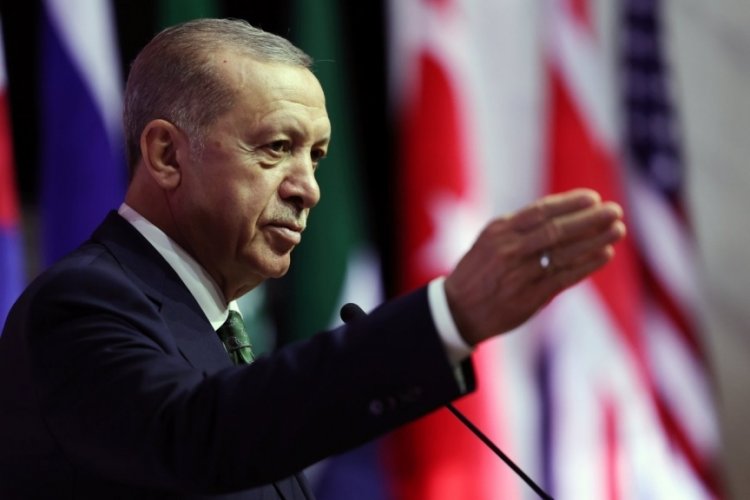Cumhurbaşkanı Erdoğan: Belediyeler başıboş hayvanları toplamalı