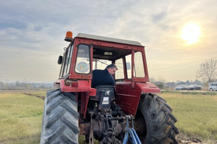 Sakarya Karasu'da aronya ekimi i&ccedil;in ilk s&uuml;r&uuml;m yapıldı