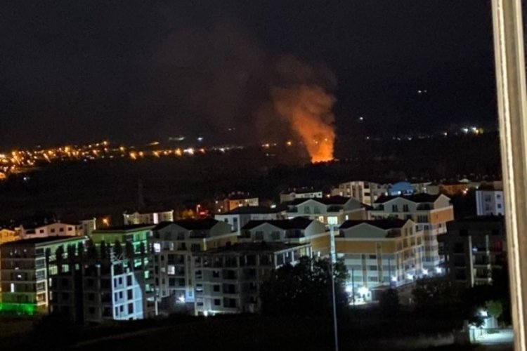 Bursa'da ormanlık alanda ikinci yangın