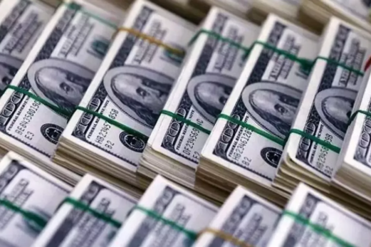 ABD, Nijerya'dan ka&ccedil;ırılan 20 milyon dolardan fazla parayı iade etti