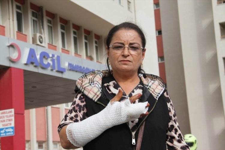 Aydın'da tasmasız gezdirilen k&ouml;peğin saldırdığı kadın hastanelik oldu
