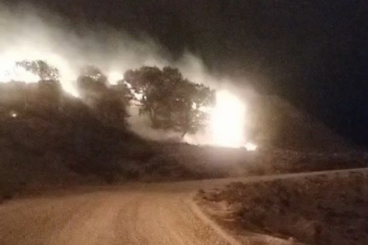 &Ccedil;anakkale G&ouml;k&ccedil;eada'da otluk alanda yangın