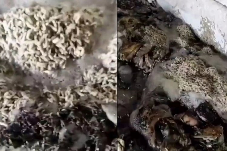 Ankara'da kurtlanan işkembenin piyasaya s&uuml;r&uuml;ld&uuml;ğ&uuml; iddiasıyla ilgili a&ccedil;ıklama