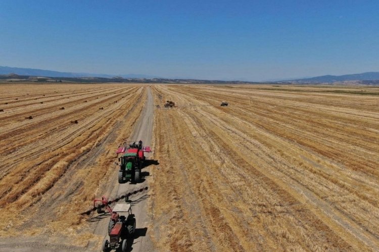 Tarımsal girdi fiyat endeksi aylık bazda y&uuml;zde 2,90 arttı