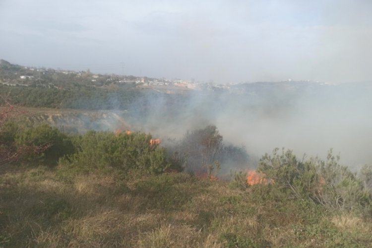 İstanbul'da &ccedil;alılık alanda yangın &ccedil;ıktı