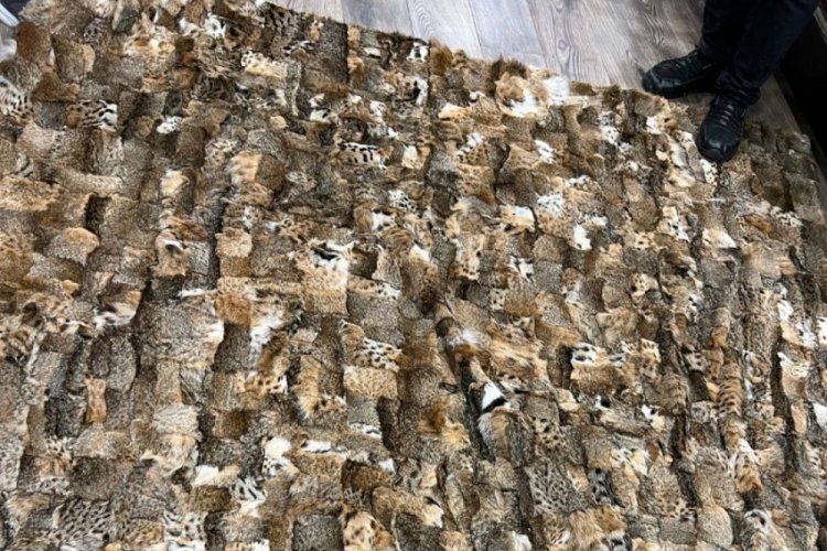 İstanbul'da onlarca hayvana ait postlar ele ge&ccedil;irildi