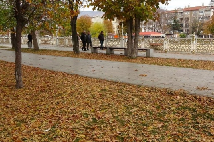 O ilde sonbahar yapraklarının s&uuml;p&uuml;r&uuml;lmesi yasaklandı