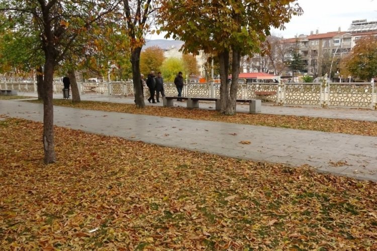 Bu şehirde sonbahar yapraklarının s&uuml;p&uuml;r&uuml;lmesi yasaklandı