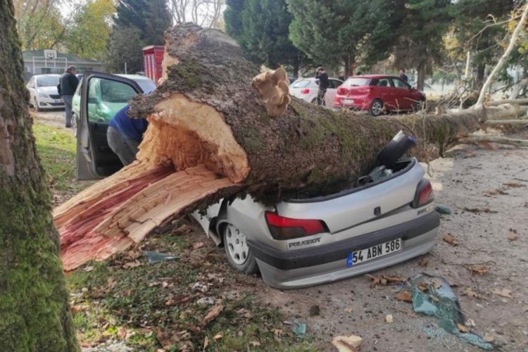 Aracını bırakıp park edip gitti! D&ouml;nd&uuml;ğ&uuml;nde şoke oldu