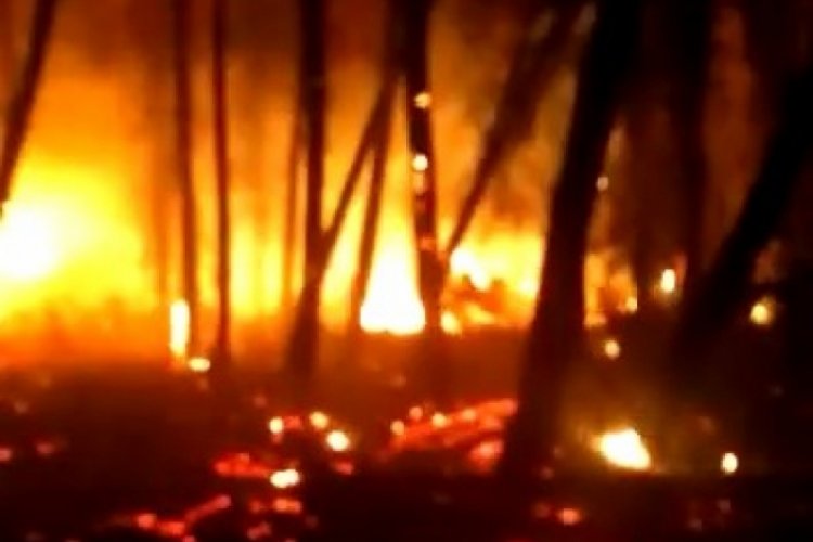 Kocaeli'nde iki farklı noktada yangın &ccedil;ıktı