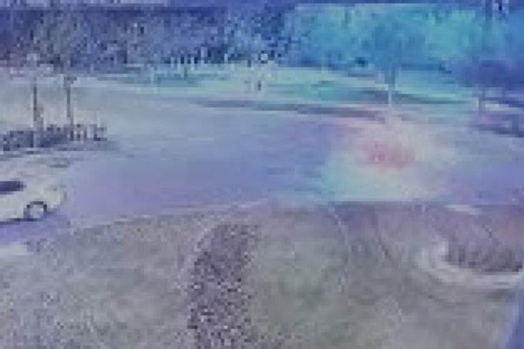 İzmir'de taklalar atan otomobilin s&uuml;r&uuml;c&uuml;s&uuml; hayatını kaybetti