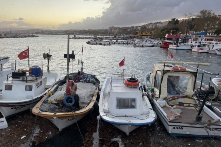 Tekirdağlı balık&ccedil;ılar &ccedil;inekop ve hamsi umuduyla yeniden denize a&ccedil;ıldı