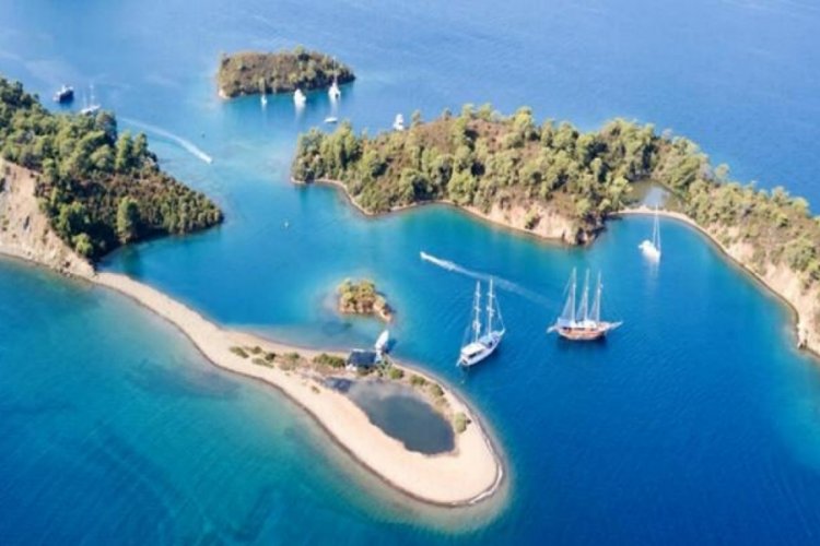 Deniz ekosistemini korumak i&ccedil;in &ccedil;alışma başlatılıyor