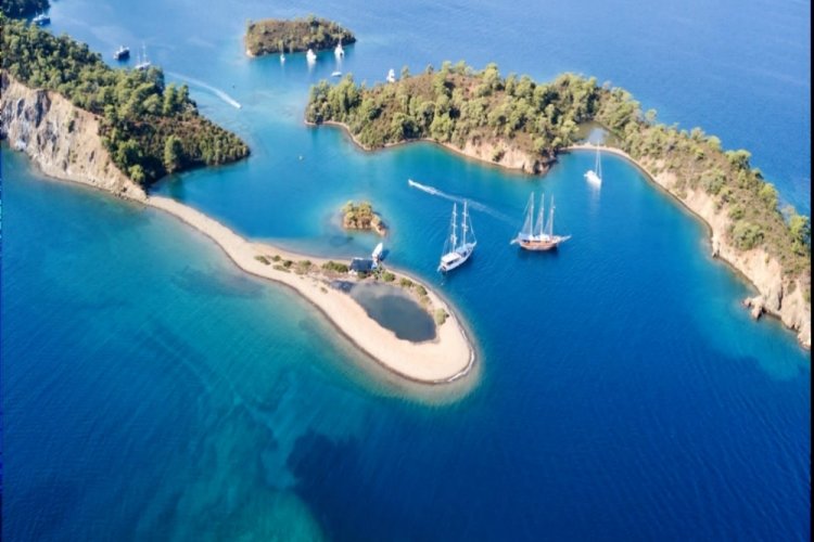 Muğla'da kıyı ve deniz ekosistemi &ccedil;alıştayı yapılacak