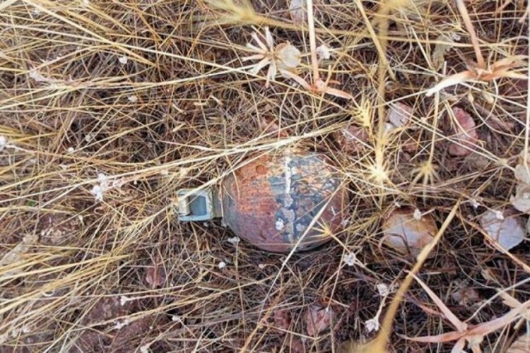 Bing&ouml;l'deki operasyonda el bombası ve mayın ele ge&ccedil;irildi
