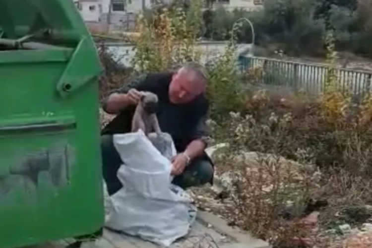 Osmaniye'de &ccedil;&ouml;pe atılan &ccedil;uvaldan &ccedil;ok sayıda yavru k&ouml;pek &ccedil;ıktı