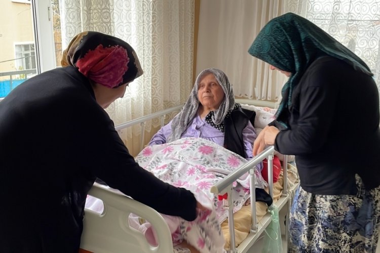 İstanbul'da k&ouml;peklerin saldırısına uğrayan kadının bacağı kesildi