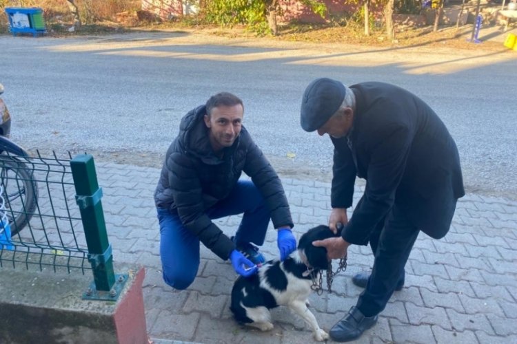 Edirne'de kuduzla m&uuml;cadele kapsamında aşılama &ccedil;alışması yapılıyor