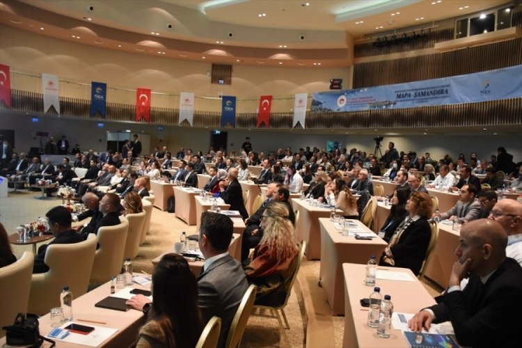Muğla'da kıyı ve deniz ekosistemleri &ccedil;alıştayı d&uuml;zenleniyor