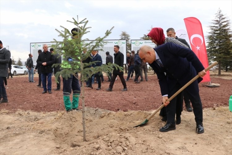 Niğde'de g&ouml;rev yapan 3 bin 553 &ouml;ğretmen i&ccedil;in fidan dikildi
