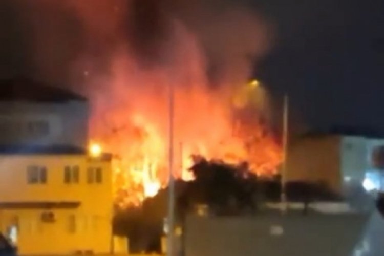 Bursa'da ağa&ccedil;lık alanda yangın! Vatandaşlar m&uuml;dahale etti