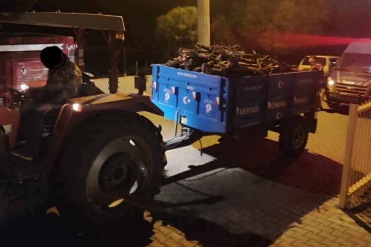 Aydın'da odun &ccedil;alarken su&ccedil;&uuml;st&uuml; yakalandı