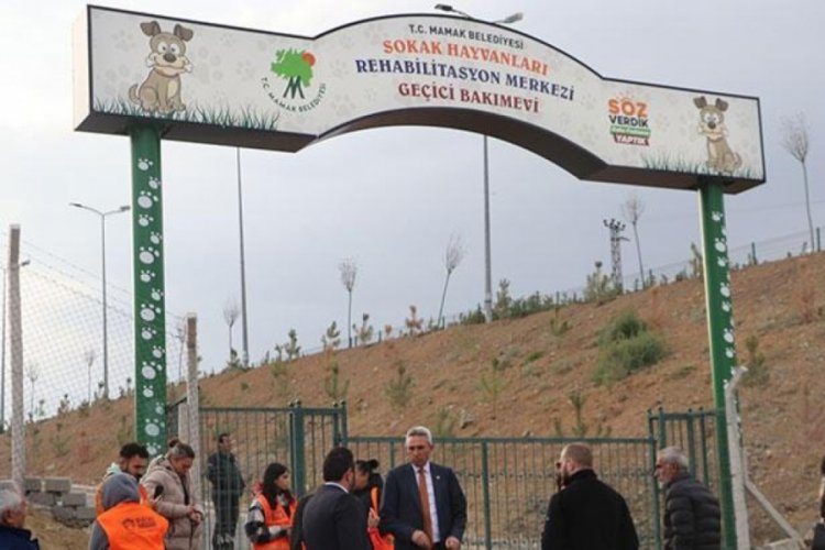 Ankara'da Belediye aracında kanlar i&ccedil;indeki k&ouml;pekler hayvanseverleri isyan ettirdi