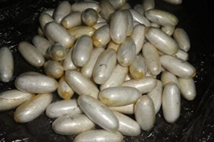 Arnavutluk'ta 430 kilogram kokain ele ge&ccedil;irildi