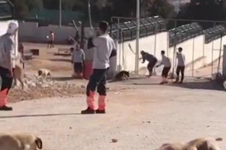 Konya'daki tutuklu barınak &ccedil;alışanlarının ifadesi ortaya &ccedil;ıktı