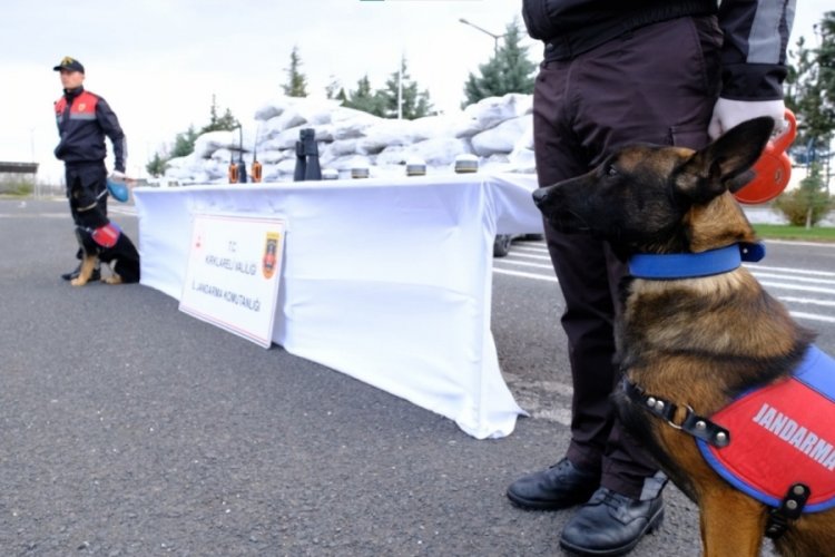 Kırklareli'de 86 kilogram skunk ele ge&ccedil;irildi