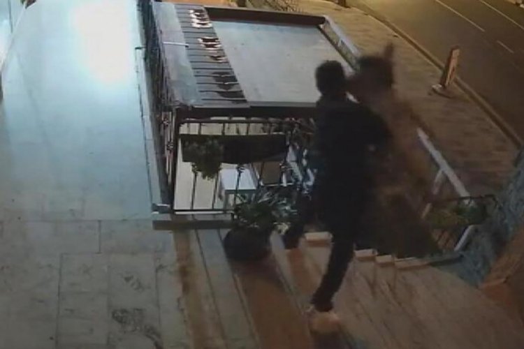 K&ouml;peği boğmaya &ccedil;alışmıştı! Yeni g&ouml;r&uuml;nt&uuml;ler ortaya &ccedil;ıktı