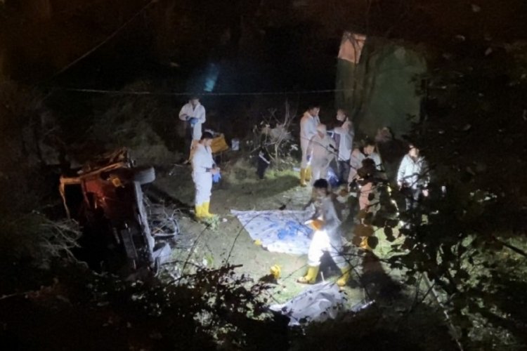 İstanbul'da ağa&ccedil;lık alana u&ccedil;an otomobil alev alev yandı