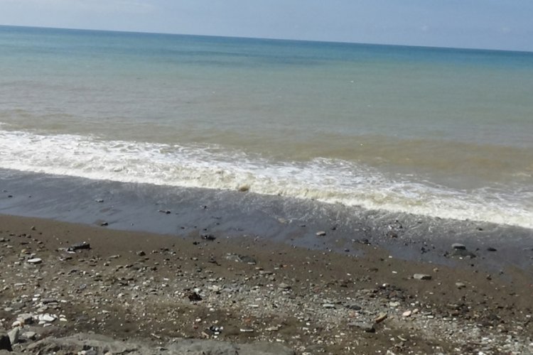 Karadeniz'de 'ağır metal kirliliği' tehlikesi