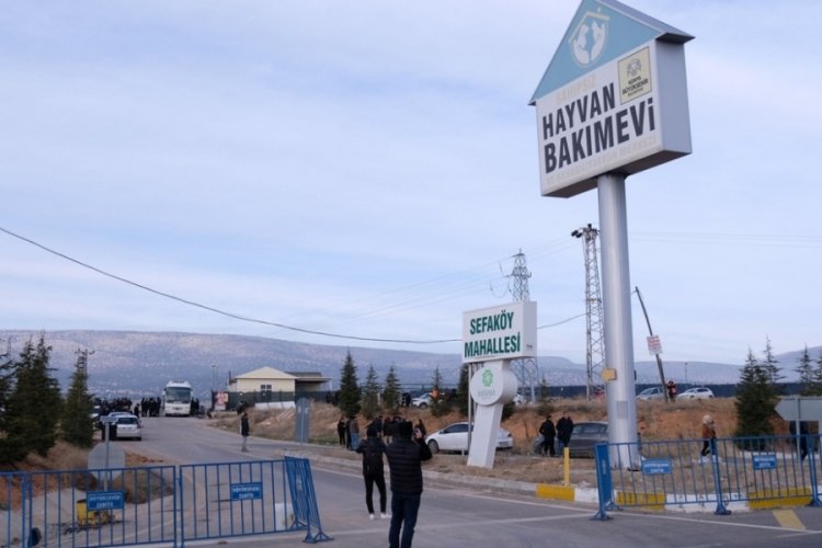 Konya'daki hayvan bakımevinde sahiplendirmeler yeniden başladı