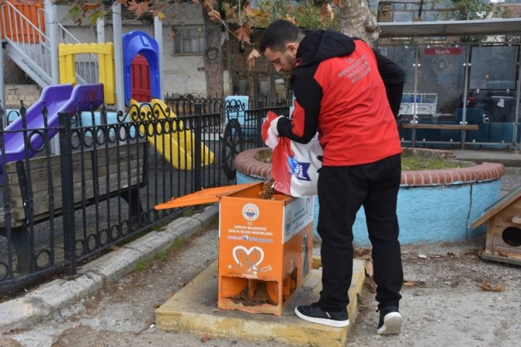 Bursa'da sokaktaki canlar mamaya kolayca ulaşıyor