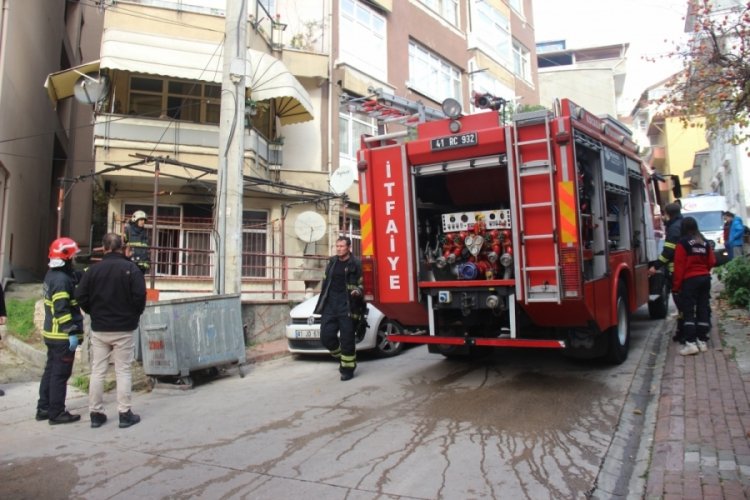 Kocaeli'nde yangında mahsur kalan kedi kurtarıldı