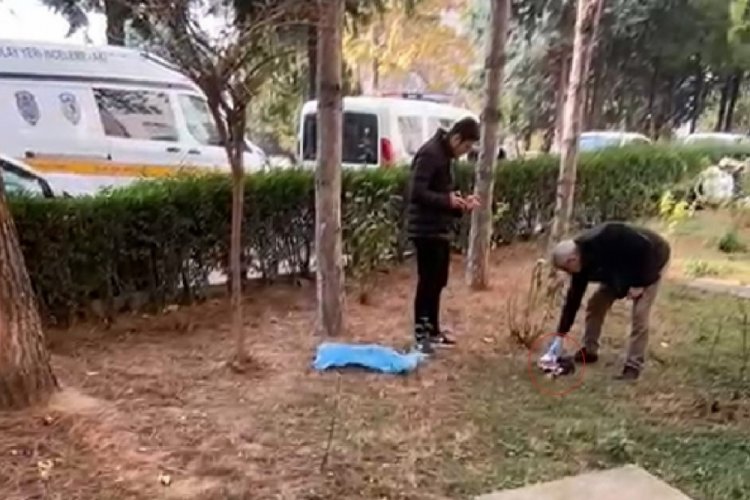 Bursa'da patileri kesilmiş halde bulunan kedi ile ilgili soruşturma başlatıldı