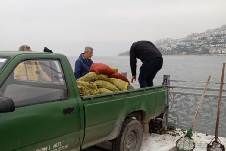 Bursa'da ka&ccedil;ak midye avcılarına operasyon d&uuml;zenlendi