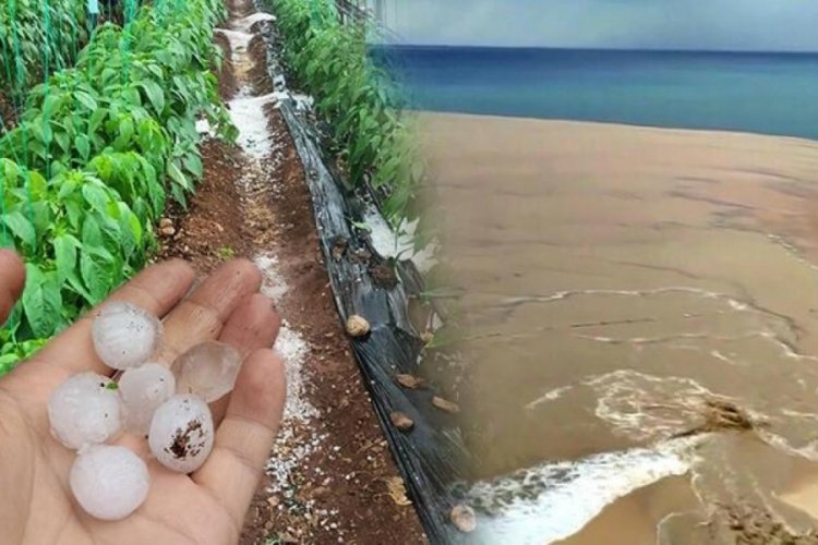 Antalya kabusu yaşadı! Kaputaş Plajı'nda denizin rengi kahverengiye d&ouml;nd&uuml;