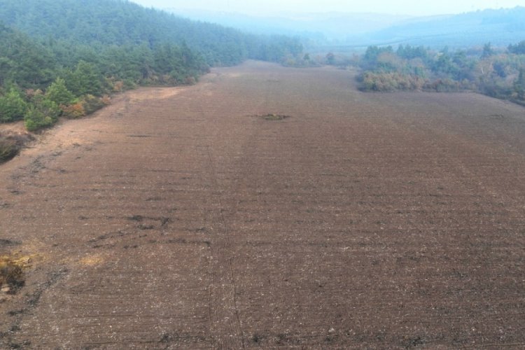 Bursa Mudanya Belediyesi buğday tohumlarını da toprakla buluşturdu